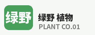 暗网
